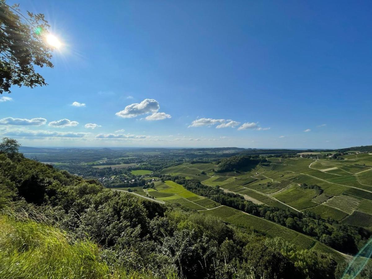 Location La Ferte, Calme Et Proximite Centre Ville Classe 3 Etoiles Lons-le-Saunier Eksteriør bilde